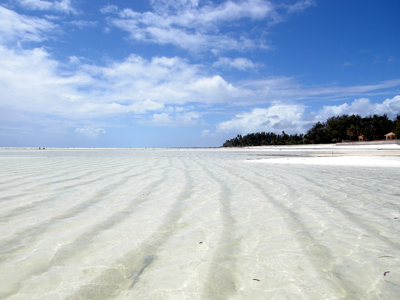 Zanzibar on a budget: how much does a trip really cost?